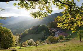 Logis Hotel-Restaurant Auberge Du Mehrbachel